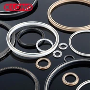 Sợi thủy tinh đầy PTFE Mùa xuân Energized Seal