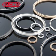 Sợi thủy tinh làm đầy Teflon mùa xuân con dấu