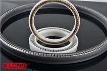 Helical Mùa xuân Energized PTFE Bơm Seals