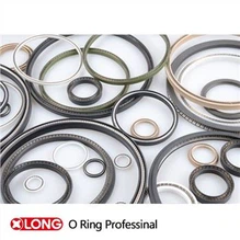 Số liệu mùa xuân nạp PTFE Rod Seals