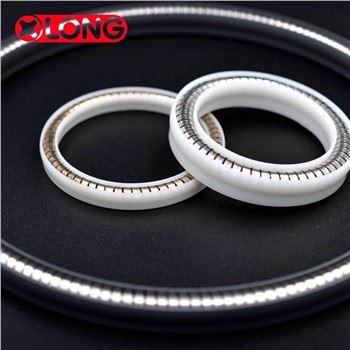 PTFE Spring Energized Static Seal