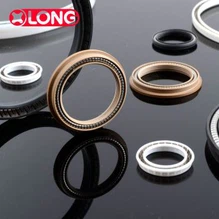 Mùa xuân Energized Seal Ring