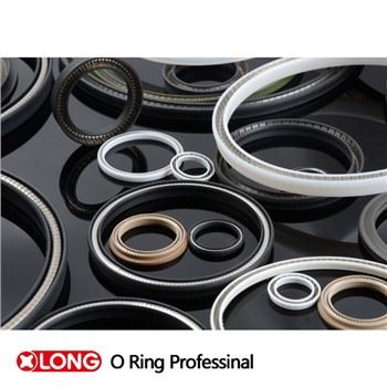 Teflon Spring Energized Pump Lip Seals