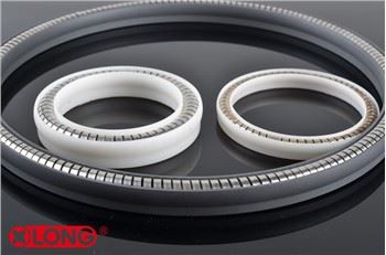 Teflon Mùa xuân Energized Van Lip Seal